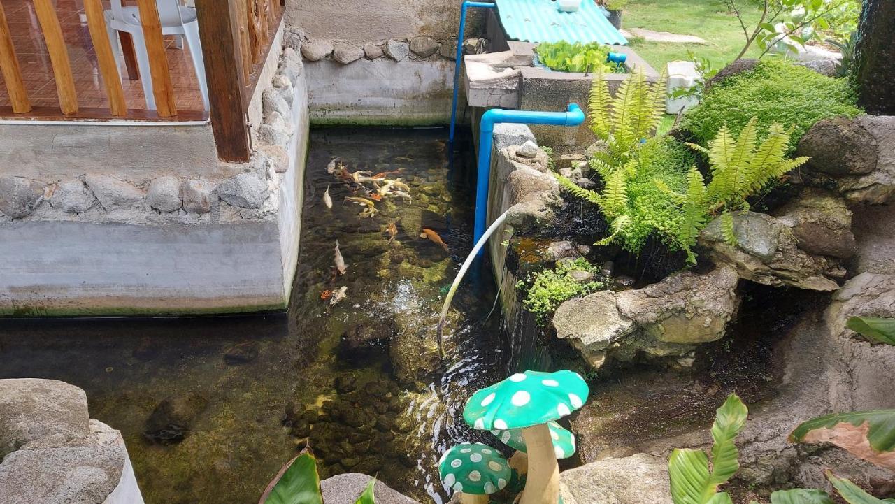 Gardenview Homestay Siargao 제너럴 루나 외부 사진